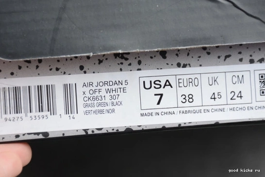 5 RETRO CK6631-307 SE OREGON CK6631-307 AIR JORDAN 0513